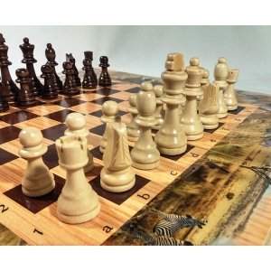 Комплект 3 в 1: шахматы, шашки, нарды