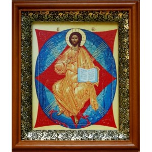 Спас в силах (19х22), светлый киот