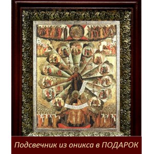 Апостольская проповедь (19х22), темный киот