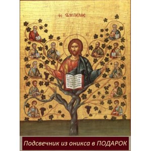 Древо Жизни (Виноградная Лоза)