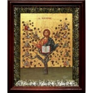 Древо Жизни (Виноградная Лоза) (19х22), темный киот