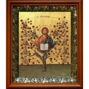 Древо Жизни (Виноградная Лоза) (19х22), светлый киот