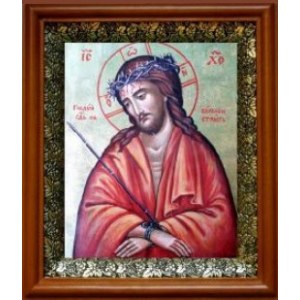Спас в терновом венце (19х22), светлый киот