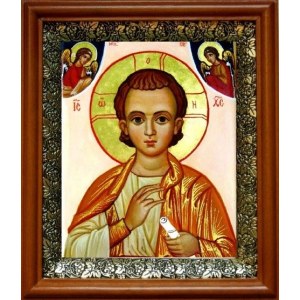 Спас Эммануил (19х22), светлый киот