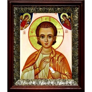 Спас Эммануил (19х22), темный киот