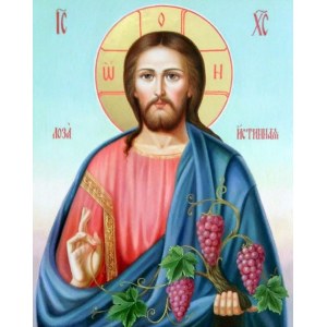 Христос Лоза Истинная (Виноградная Лоза)