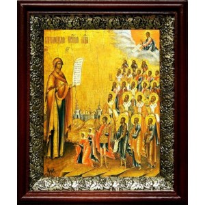 Боголюбская (Московская) икона БМ (19х22), темный киот