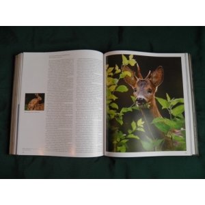 Подарочная книга  "Охота. Блюхель"