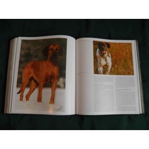 Подарочная книга  "Охота. Блюхель"